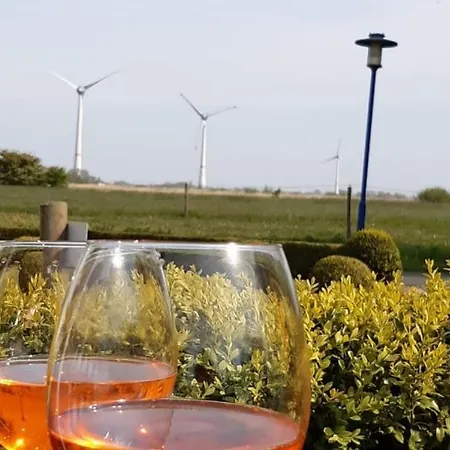 Grosse Krabbe בית נופש נויהרלינגרזיל